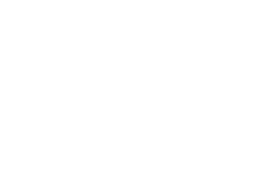 King Fence Logo White